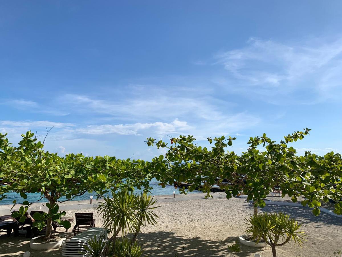 Turtle Bay Dive Resort Moalboal Εξωτερικό φωτογραφία