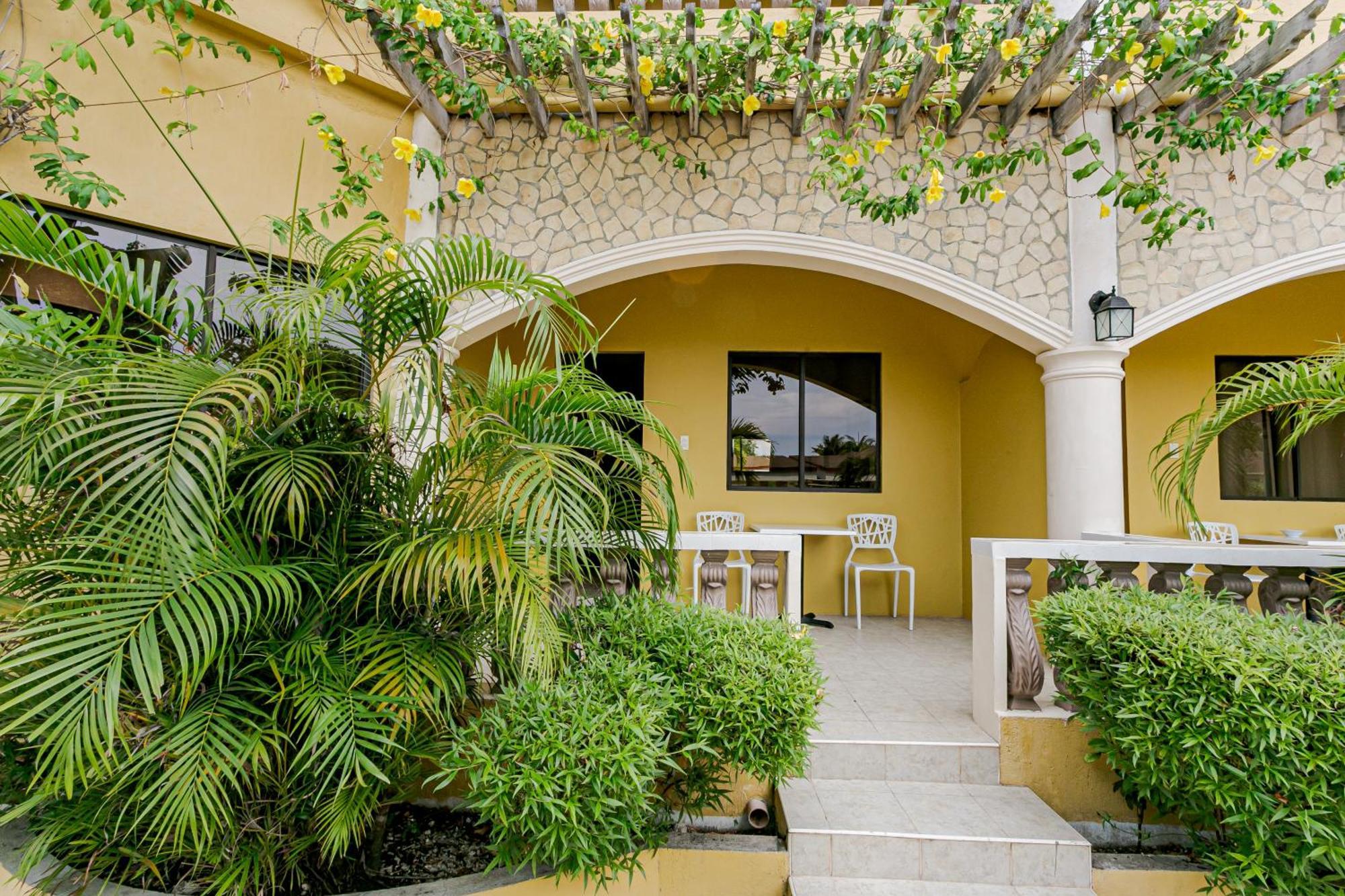Turtle Bay Dive Resort Moalboal Εξωτερικό φωτογραφία