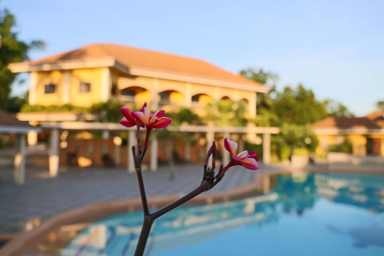Turtle Bay Dive Resort Moalboal Εξωτερικό φωτογραφία