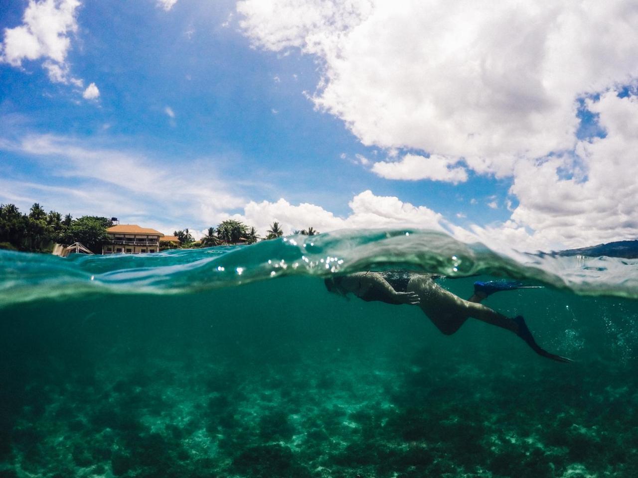 Turtle Bay Dive Resort Moalboal Εξωτερικό φωτογραφία