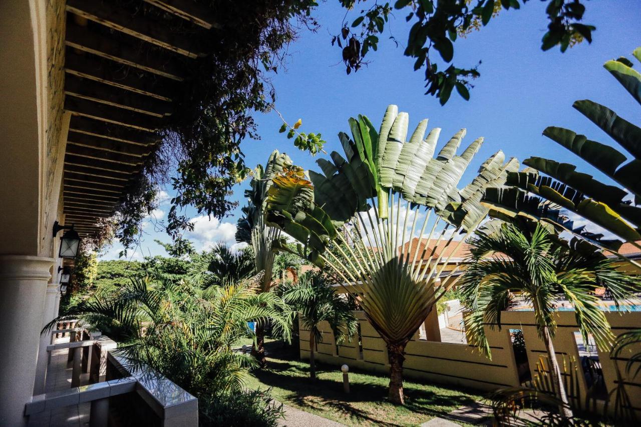 Turtle Bay Dive Resort Moalboal Εξωτερικό φωτογραφία