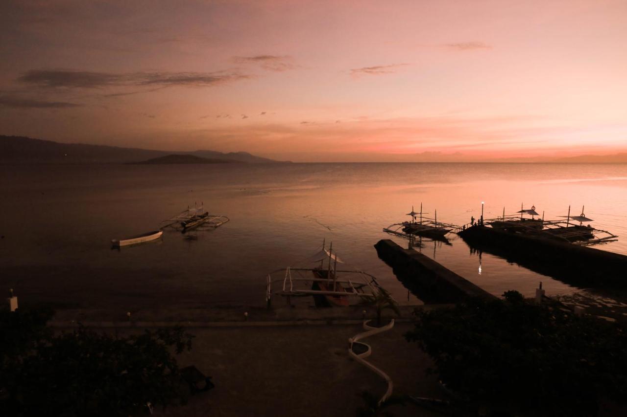 Turtle Bay Dive Resort Moalboal Εξωτερικό φωτογραφία