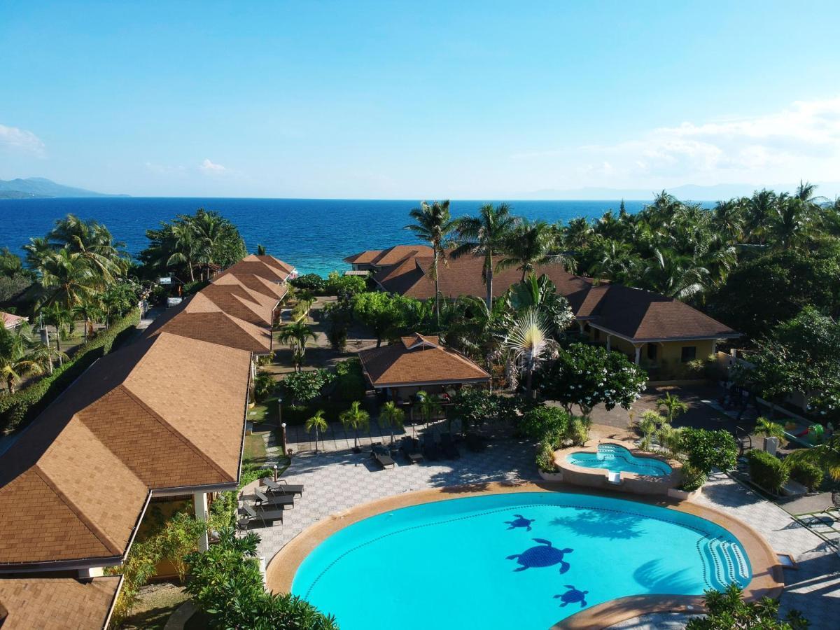Turtle Bay Dive Resort Moalboal Εξωτερικό φωτογραφία